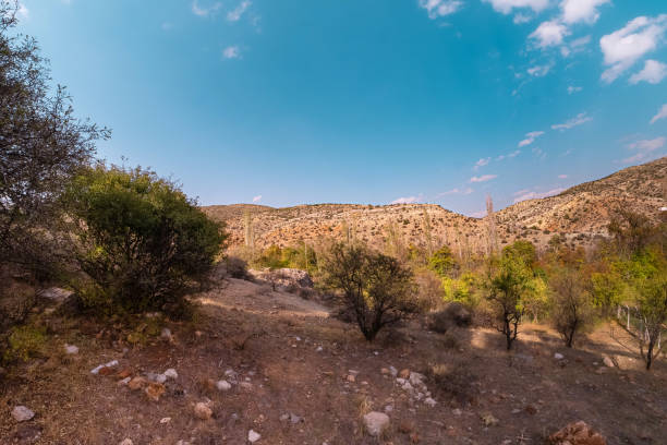 Serene mountain landscape with natural vegetation under a sky. Outdoor scene capturing rugged terrain and sparse trees.