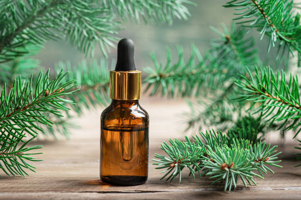 istock Fir or pine essential oil dropper 2189727972