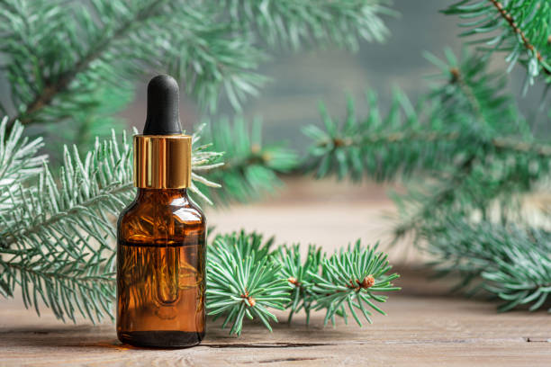 istock Fir or pine essential oil dropper 2189727974