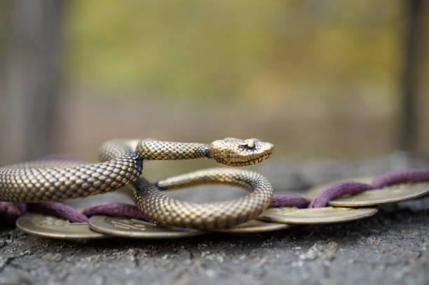 istock A snake figurine with Chinese coins. 2189729651