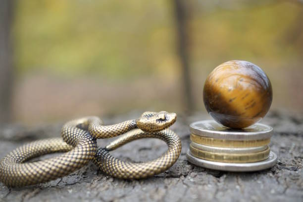 istock A snake figurine with coins and a tiger's eye. 2189729666