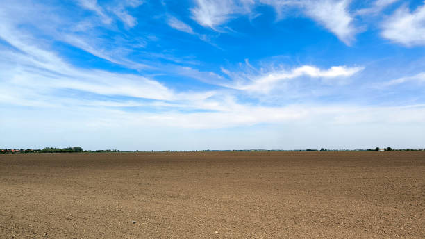 istock agricultural fields in spring in Vojvodina province 2189731036
