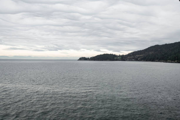 Vancouver island coastline, view from a ferry on the water