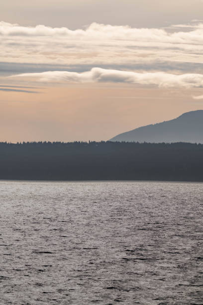 istock Vancouver island coastline during sunset, view from a ferry on the water 2189737491
