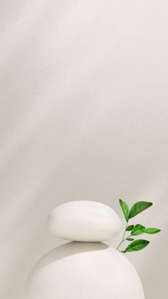 istock Background featuring a rock stone podium with plant shadows cast on a gray wall, designed for product placement. Ideal as a template for showcasing skincare or cosmetics in portrait 2189737759