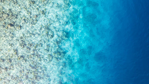 istock Top view of the turquoise gradient water color 2189748876