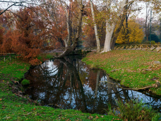 istock Autumn at Parco Sempione, Milan 2189749136