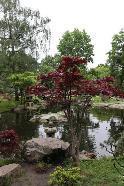 istock Small pond in Kyoto Garden 2189751749