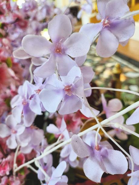 istock Beautiful of pink cherry blossoms artificial flowers 2189753322