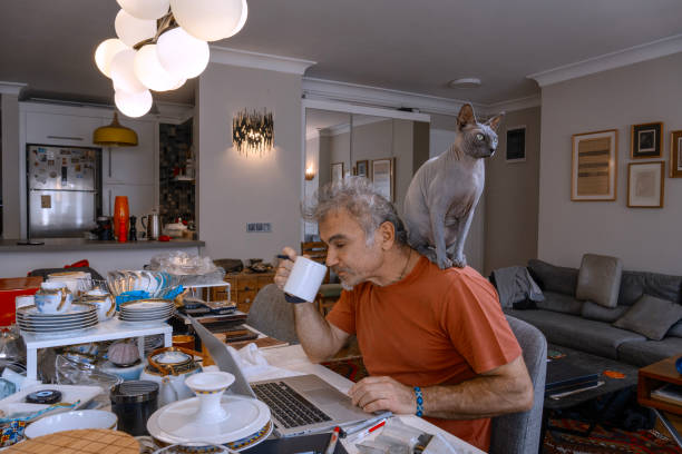 istock Mature man drinking coffee with sphynx cat on shoulder while working from home 2189754602