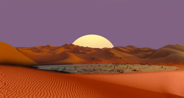 istock Dead trees in Dead Vlei - Sossusvlei, Namib desert, Namibia 2189756921