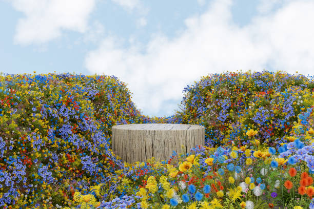 istock 3d rendering spring stage and natural mockup background, Rock podium in the valley, various flowers field are blooming for product stand display, advertising, cosmetic skincare or etc 2189756964