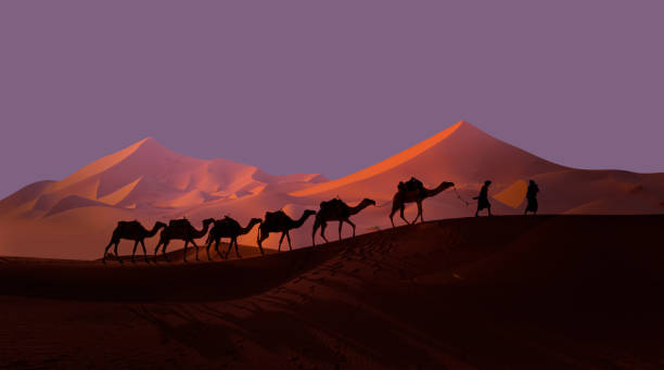istock Camel caravan in the desert at sunrise -  Sahara, Morrocco 2189758389