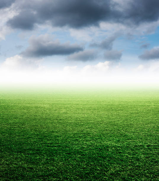 istock Meadow and sky on the horizon 2189762917