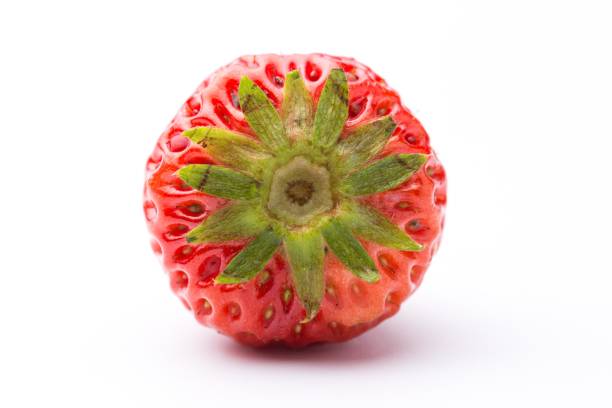 ugly strawberries and plain beautiful strawberries on a white background .Funny, unnormal fruits or food waste concept. Unformatted fruits.