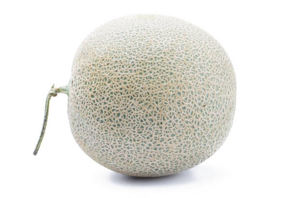cantaloupe melon isolated on white background