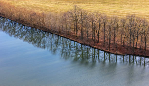 Aerial view of a mystical river with reflection of bare trees