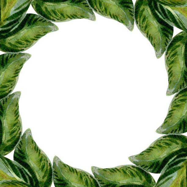 istock Green leaves and foliage form a nature-inspired frame. Foliage in soft green hues encircles the frame. Nature elegance captured in minimalist style. Ideal for modern, organic design projects 2189766501