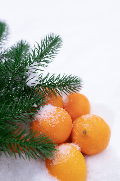 A close-up of fresh oranges placed on a vibrant blue background. The rich contrast between the bright orange fruit and the vivid blue surface highlights the freshness and appeal of the citrus, making it perfect for use in food and drink-related marketing, healthy lifestyle promotions, or vibrant product designs