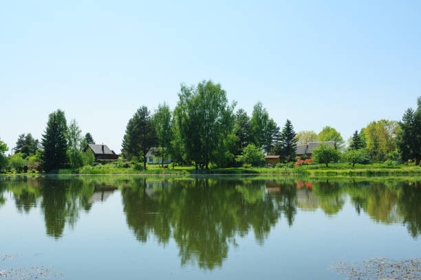 Rural landscape by the lake