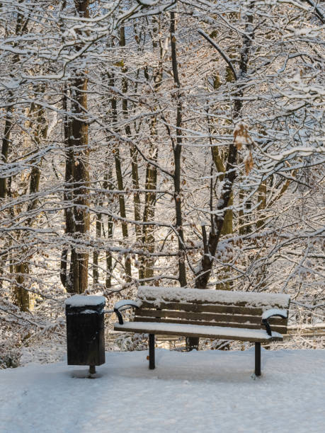 A tranquil winter scene showcases a bench blanketed in fresh snow, surrounded by trees draped in white. The atmosphere is serene, with a sense of calm in the air.