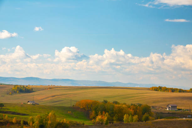 Autumn yellow and red landscape - hills