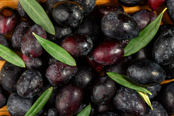 istock Freshly harvested black olives with vibrant green leaves ready for processing in the kitchen 2189774003