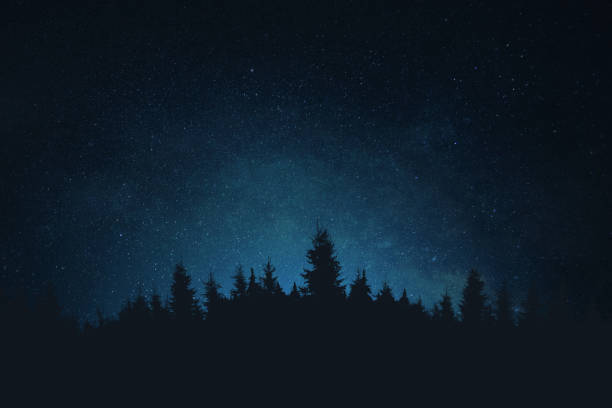 istock Beautiful clear starry sky. Night forest with stars. Nature wallpaper 2189775458