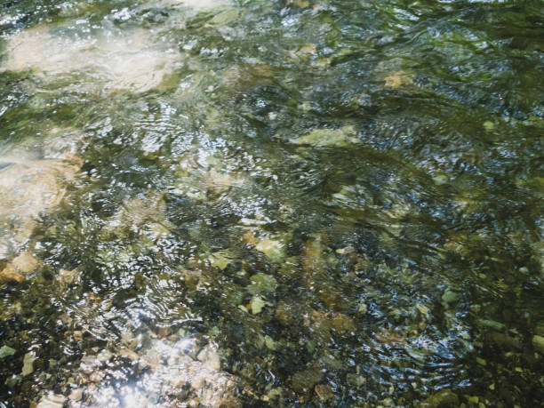 istock The river, with its rapid flow and majestic cliffs, creates a breathtaking landscape, reflecting the strength and beauty of the wild nature 2189778447