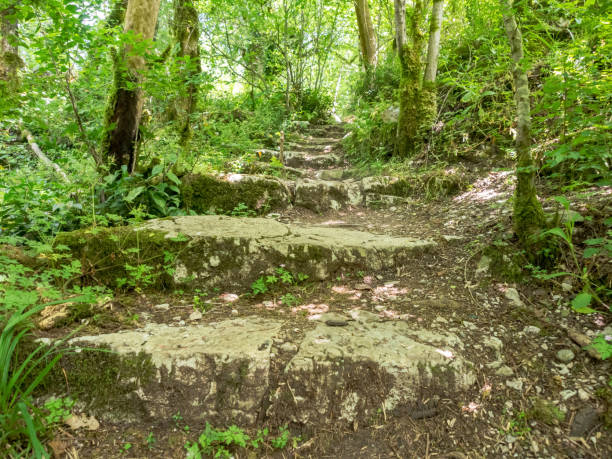 istock Sheer cliffs frame ancient ruins, reminiscent of past greatness, creating a mystical atmosphere and sense of time 2189778612