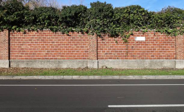 istock Brick wall with creeping plant on top and blank warning side by right, Grassy sidewalk and street in front 2189779083