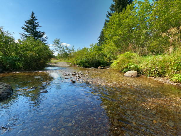 istock A quiet stream in Vitosha, Bulgaria 2189780917