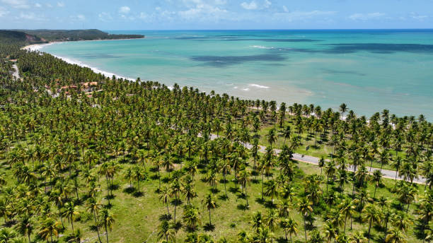 istock Northeastern Brazil Skyline At Japaratinga In Alagoas Brazil. 2189782914