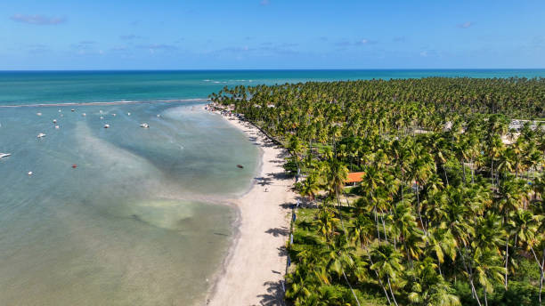 istock Northeastern Brazil Skyline At Tamandare In Pernambuco Brazil. 2189783072