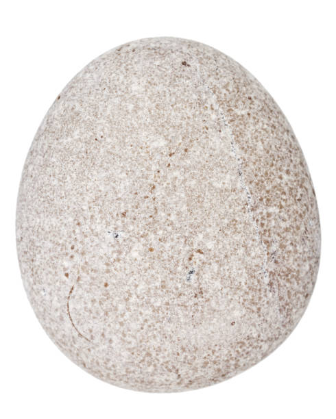 istock Top view of single gray pebble 2189787034