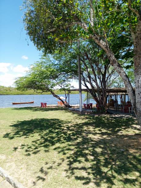 istock Continguiba's River in Socorro 2189799815