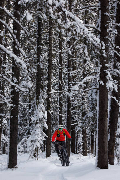 istock Winter Fatbike Ride 2189806706