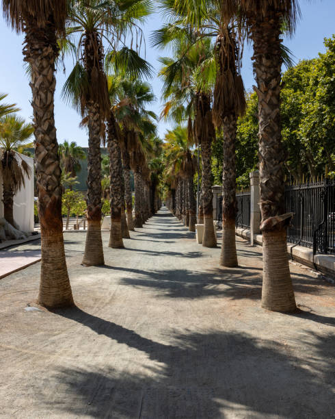 istock The Paseo del Parque in Malaga. Spain. 2189819307