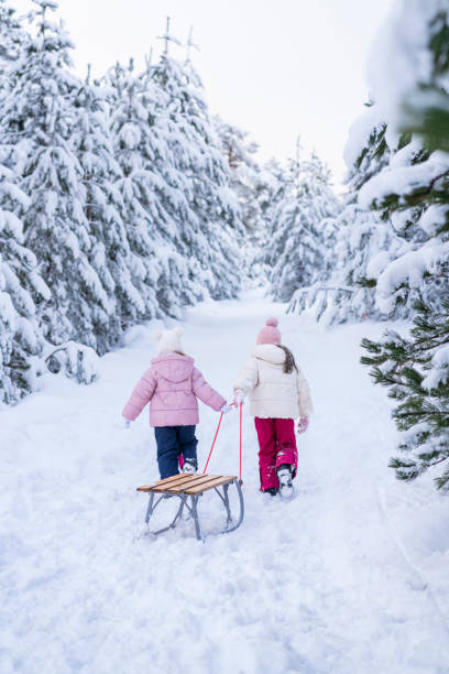 Scandinavian family with Sweden flag in winter swedish landscape.