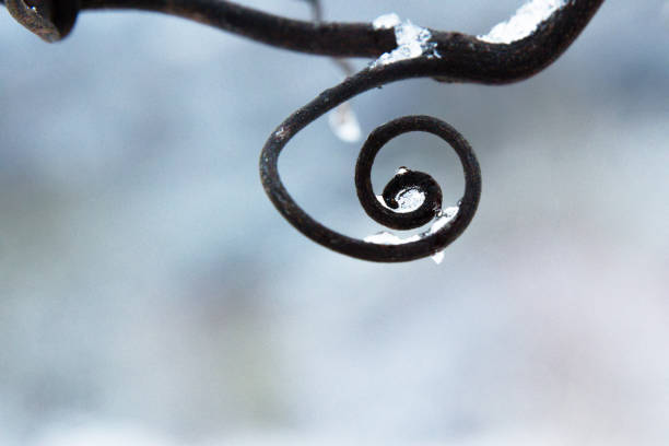 Frozen vine spiral covered in ice and frost, symbolizing natural cycles, balance, and waldorf anthroposophic spirituality, growth and renewal, nature geometry design. Blurred background. Copy space espiral de vid congelada cubierta de hielo y escarcha, que simboliza los ciclos naturales, el equilibrio y la espiritualidad antroposófica waldorf, el crecimiento y la renovación, el diseño de la geometría de la naturaleza. fondo borroso. espacio de co