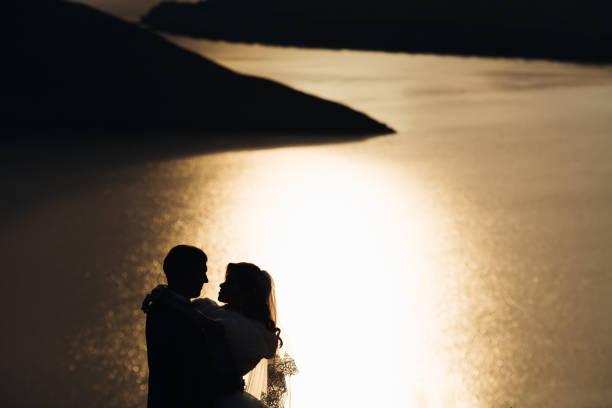 the newlyweds embraced. sunlight and blurred background