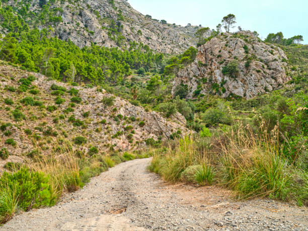 istock Serra de Tramuntana - Mallorca, Spain 2189838647
