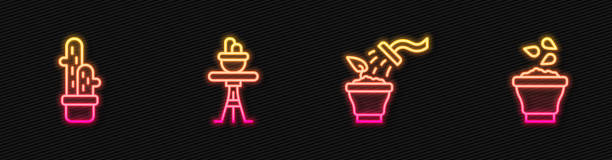 istock Set line Spraying plant, Cactus peyote pot, Plant on table and Seeds bowl. Glowing neon icon. Vector 2189853156
