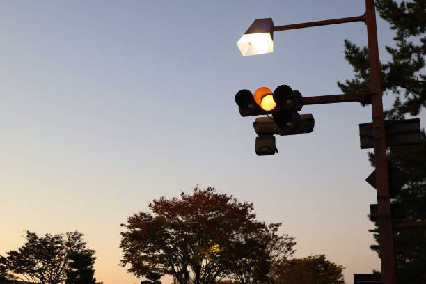 istock Sunset street trees and yellow lights 2189864061