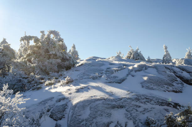 Winter on Mount Monadnock reveals stunning snow-covered landscapes bathed in sunlight. Frosted trees dot the rocky terrain, creating a serene and picturesque environment typical of New Hampshire's cold season.
