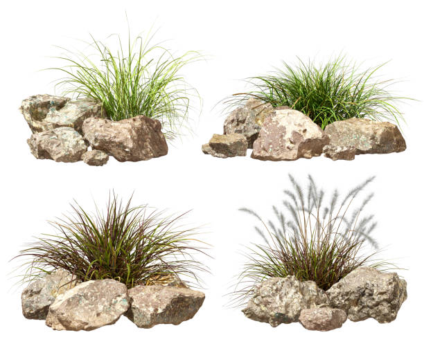 istock Isolated composition rock and grass meadow layout collection set on white backgrounds 3d illustrations 2189868780