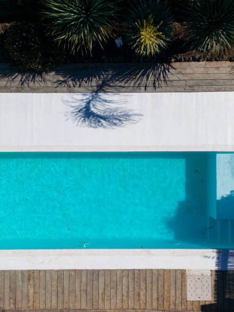 istock Turquoise swimming pool water reflecting palm tree shadow in a modern resort 2189878652