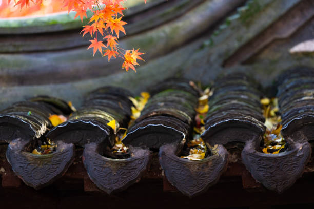Red maple leaves under the eaves in a park in Shanghai