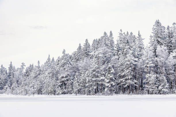 istock Scenic view at a forest by a snow covered lake in a wintry landscape 2189884211