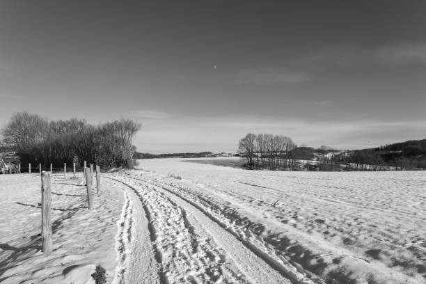 Bare Pear Trees in a Snow Covered Winter Landscape in the Mostviertel or Must Quarter near Amstetten, Lower Austria